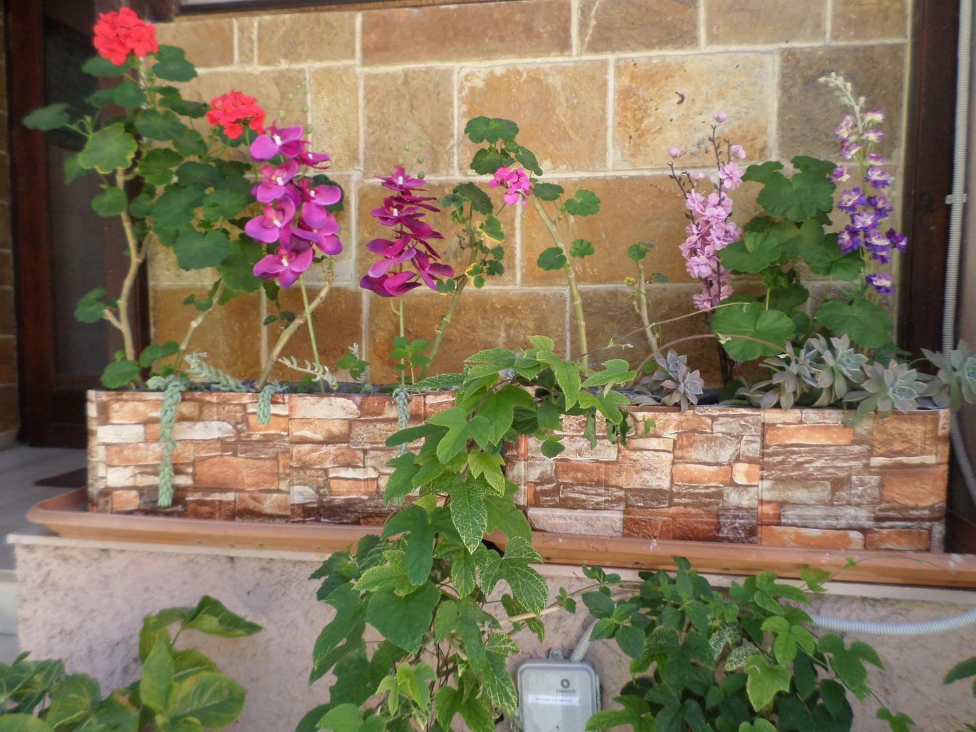Tina Hotell Chania (Crete)